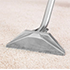 need pro carpet cleaning