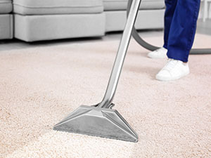 professional steam cleaning carpet