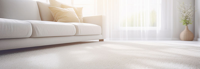 room read for pro carpet cleaning